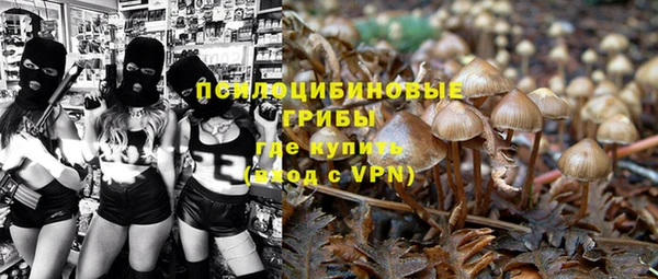 первитин Касимов