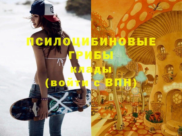 МДПВ Карпинск