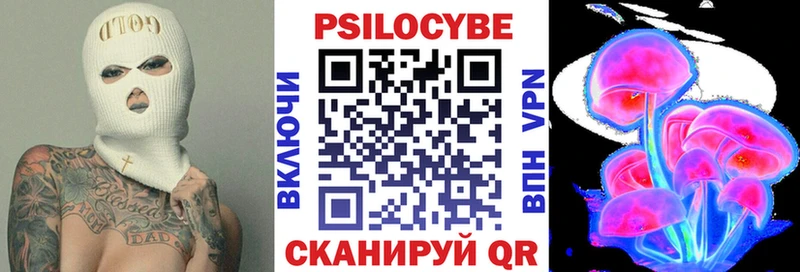 Галлюциногенные грибы Psilocybe  Купить  Выборг 